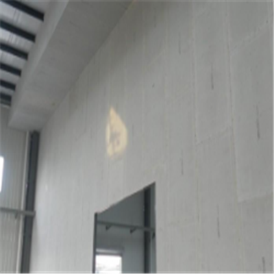 耐吉新型建筑材料掺多种工业废渣的ALC|ACC|FPS模块板材轻质隔墙板